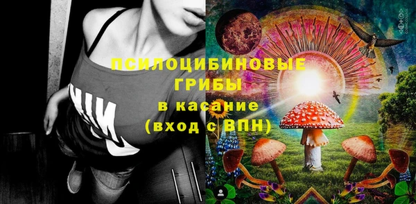 гидропоника Алзамай