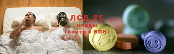 ПСИЛОЦИБИНОВЫЕ ГРИБЫ Арсеньев