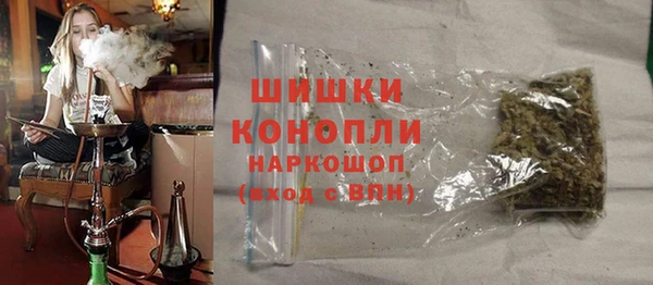 ПСИЛОЦИБИНОВЫЕ ГРИБЫ Арсеньев