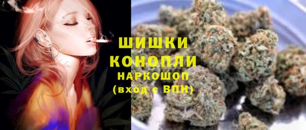 гидропоника Алзамай
